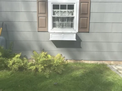New Shutters & Lights